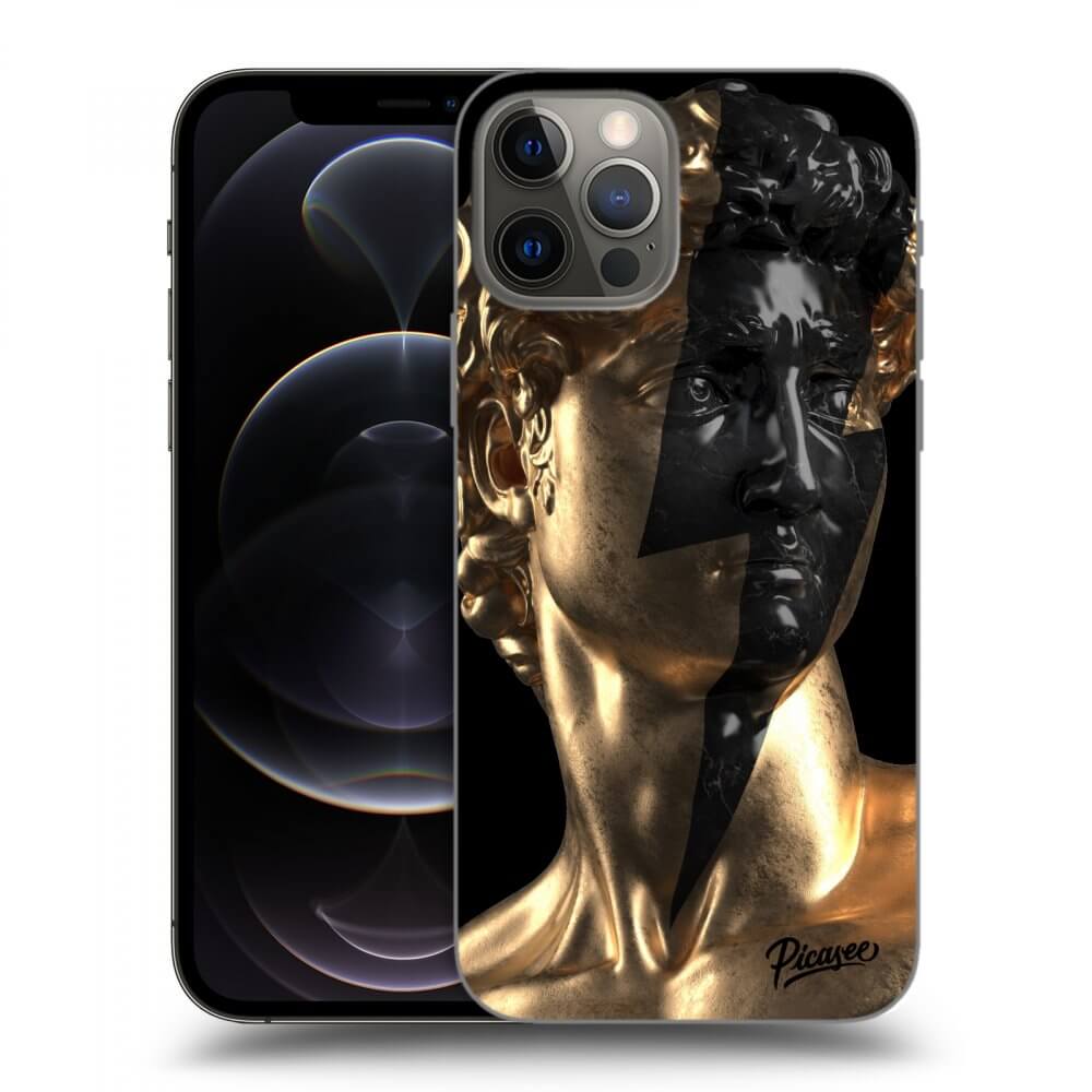 Picasee silikonski črni ovitek za Apple iPhone 12 Pro - Wildfire - Gold