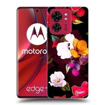 Ovitek za Motorola Edge 40 - Flowers and Berries