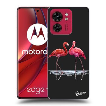 Ovitek za Motorola Edge 40 - Flamingos couple