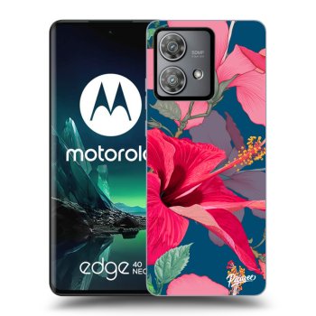Ovitek za Motorola Edge 40 Neo - Hibiscus