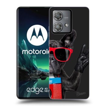 Ovitek za Motorola Edge 40 Neo - French Bulldog