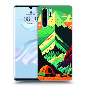 Ovitek za Huawei P30 Pro - Whistler