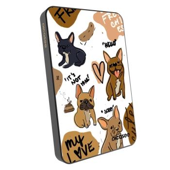 Prenosna baterija z MagSafe 5 000 mAh Siva - Frenchies