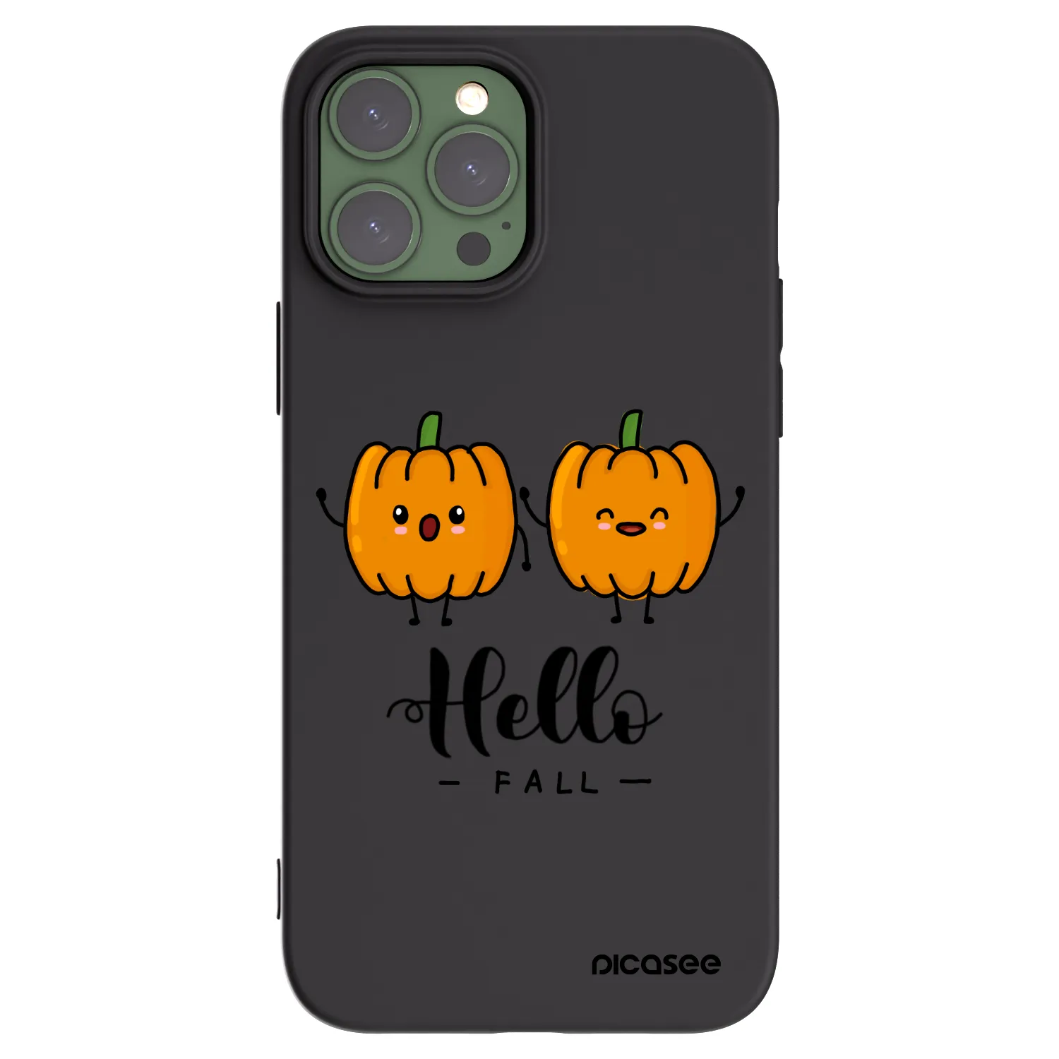 Picasee silikonski črni ovitek za Apple iPhone 13 Pro Max - Hallo Fall