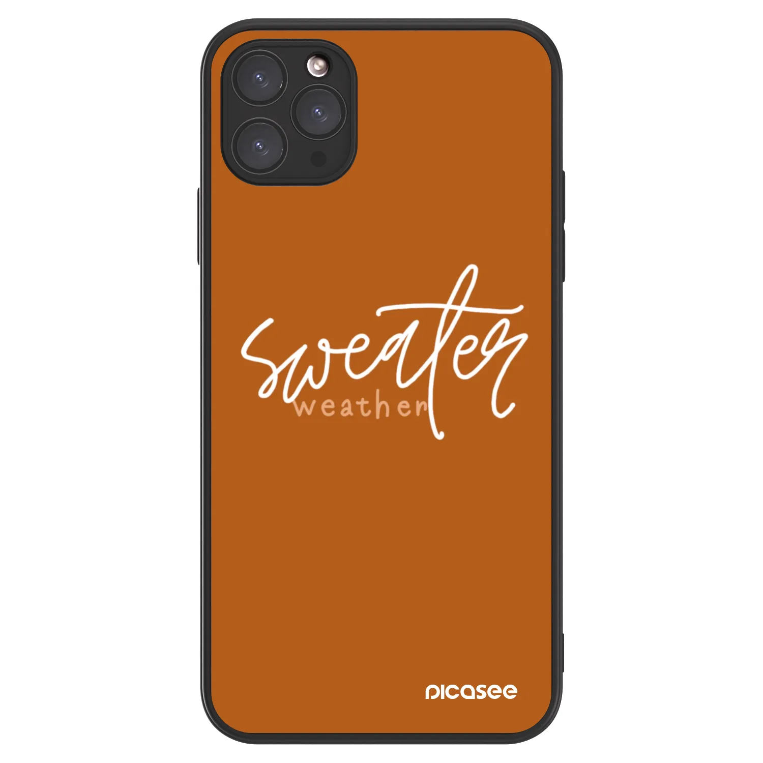 Picasee ULTIMATE CASE MagSafe za Apple iPhone 11 Pro Max - Sweater weather