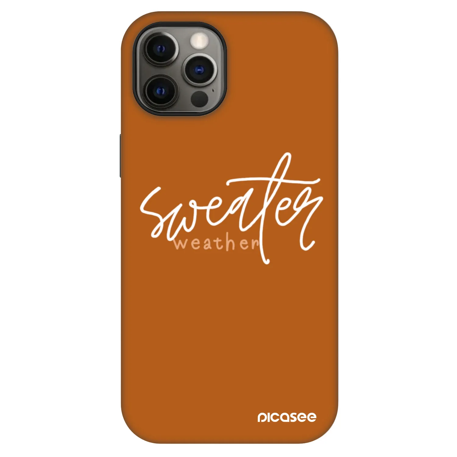 Picasee Fashion Case MagSafe za Apple iPhone 12 - Sweater weather