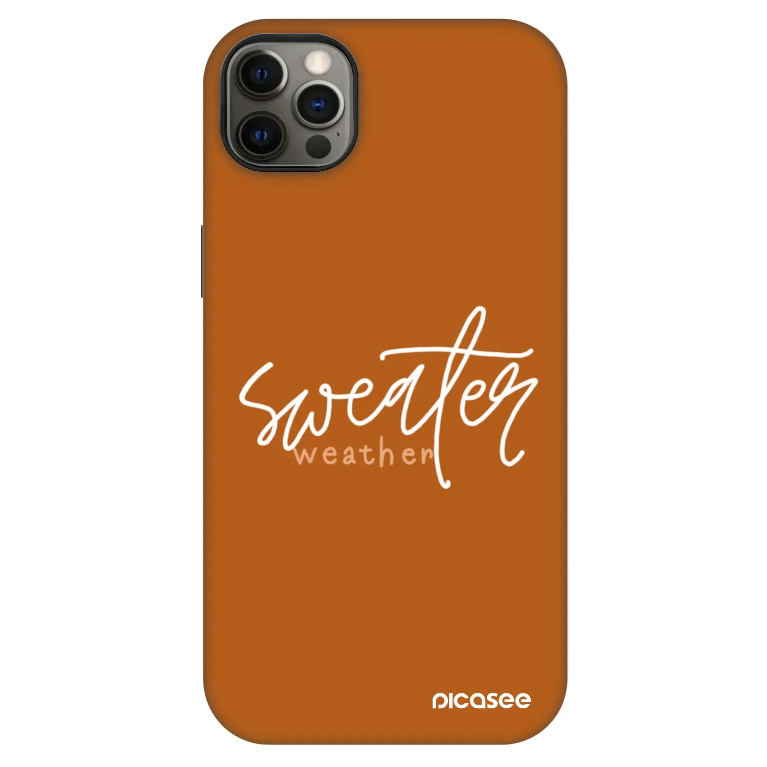 Picasee Fashion Case MagSafe za Apple iPhone 12 Pro Max - Sweater weather