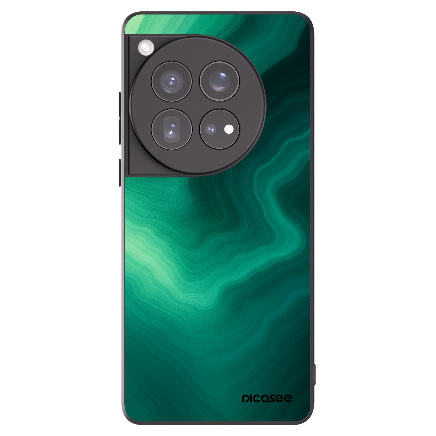 Picasee silikonski črni ovitek za OnePlus 12 5G - Malachite