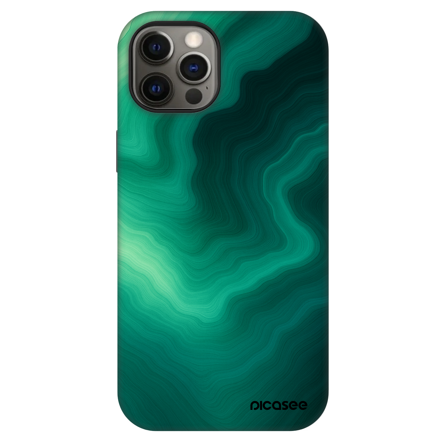 Picasee Fashion Case MagSafe za Apple iPhone 12 - Malachite