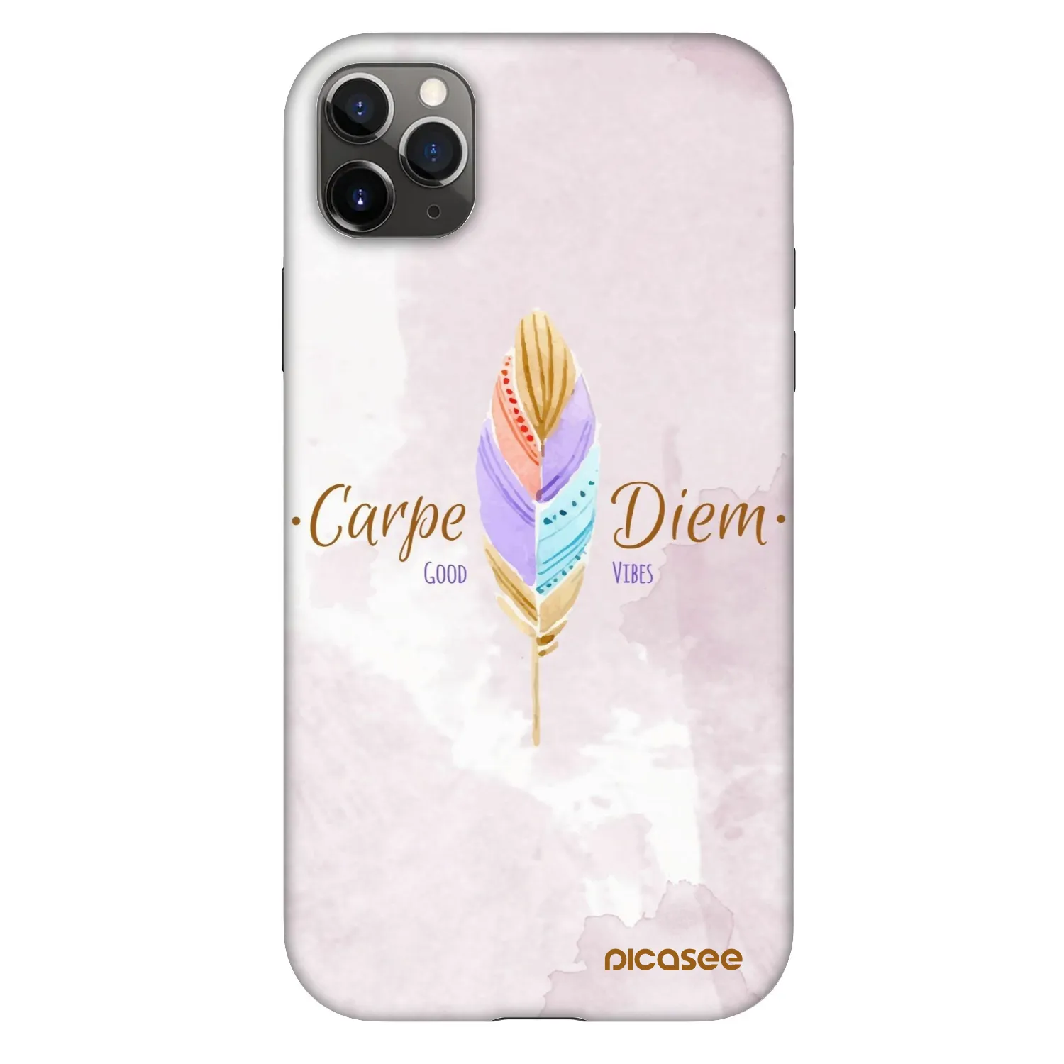 Picasee Fashion Case za Apple iPhone 11 Pro Max - Carpe Diem