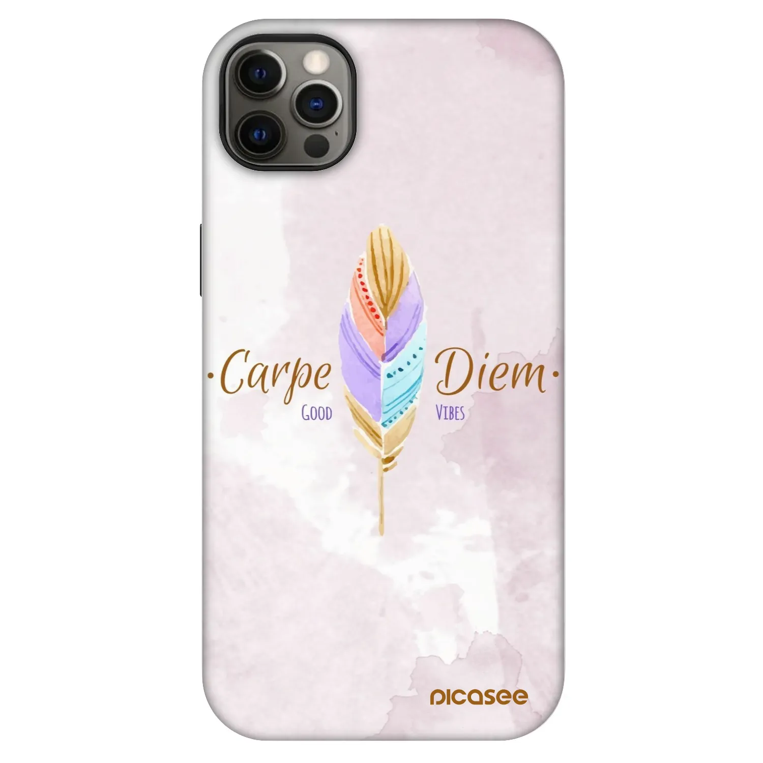 Picasee Fashion Case MagSafe za Apple iPhone 12 Pro Max - Carpe Diem