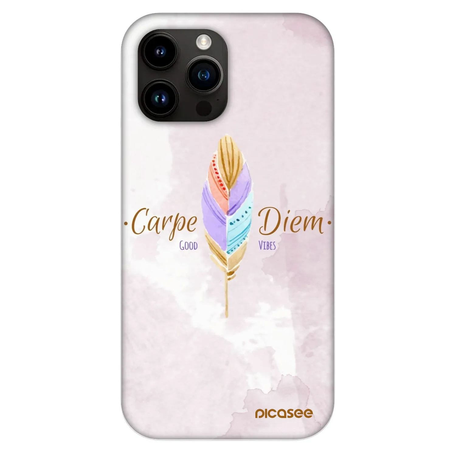 Picasee Fashion Case MagSafe za Apple iPhone 13 Pro Max - Carpe Diem