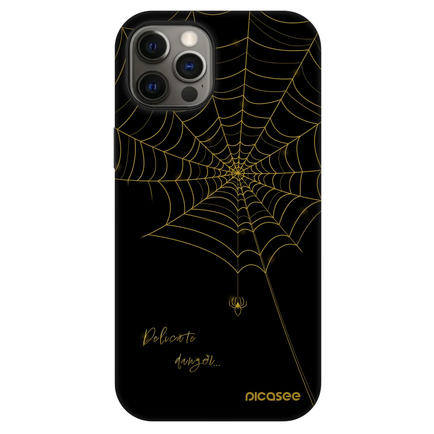 Picasee Fashion Case MagSafe za Apple iPhone 12 Pro - Delicate danger