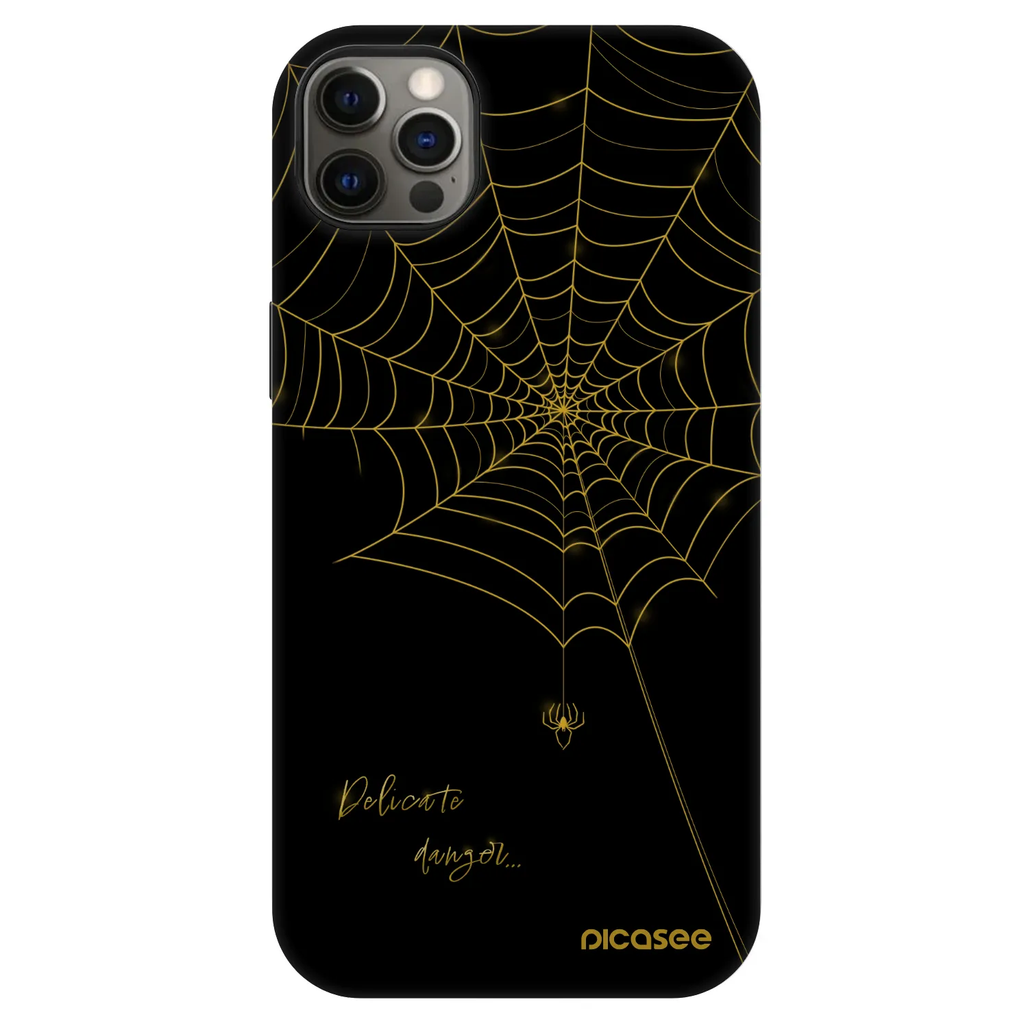 Picasee Fashion Case MagSafe za Apple iPhone 12 Pro Max - Delicate danger