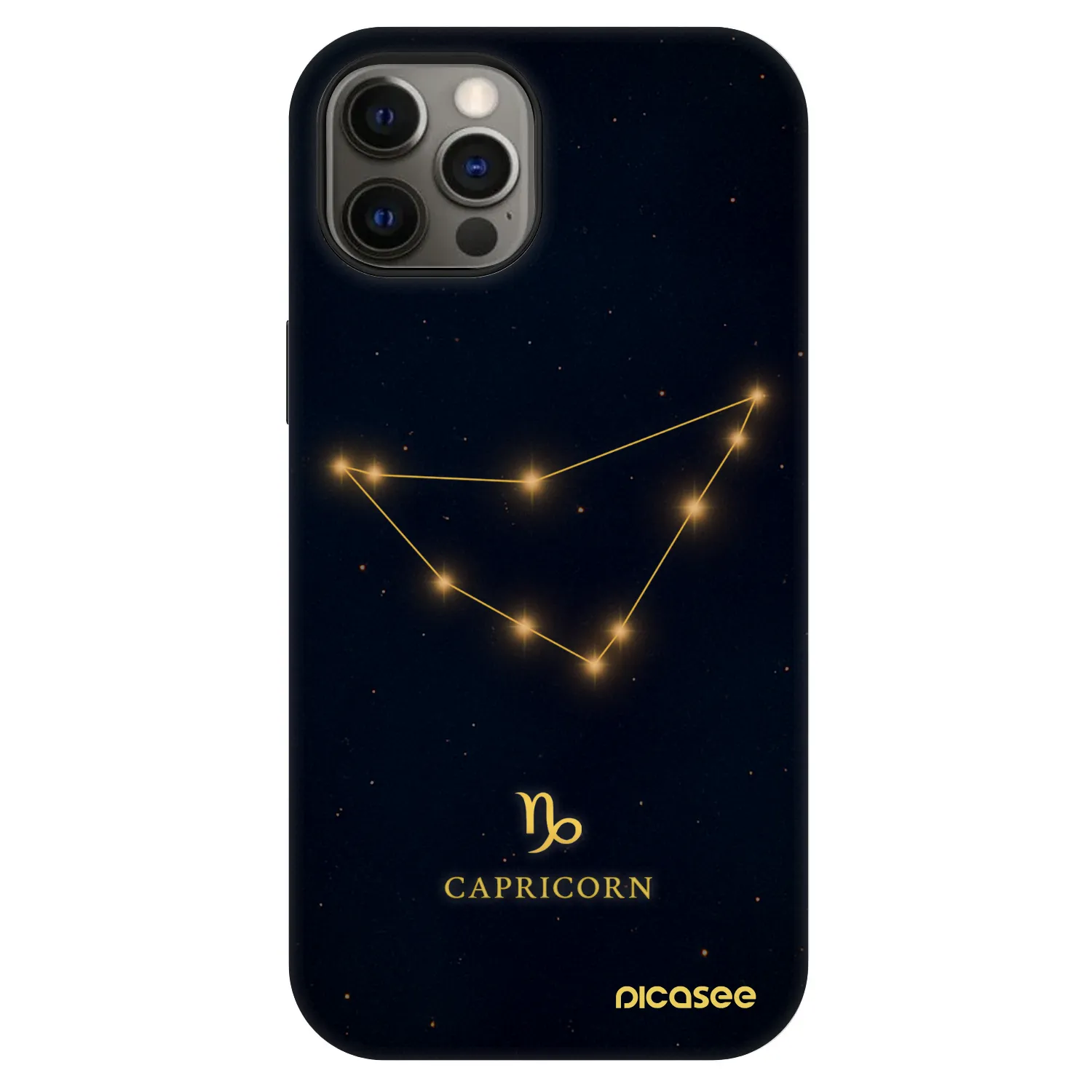 Picasee Fashion Case MagSafe za Apple iPhone 12 - CAPRICORN
