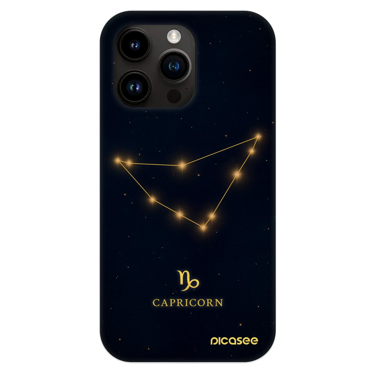 Picasee Fashion Case MagSafe za Apple iPhone 13 Pro - CAPRICORN