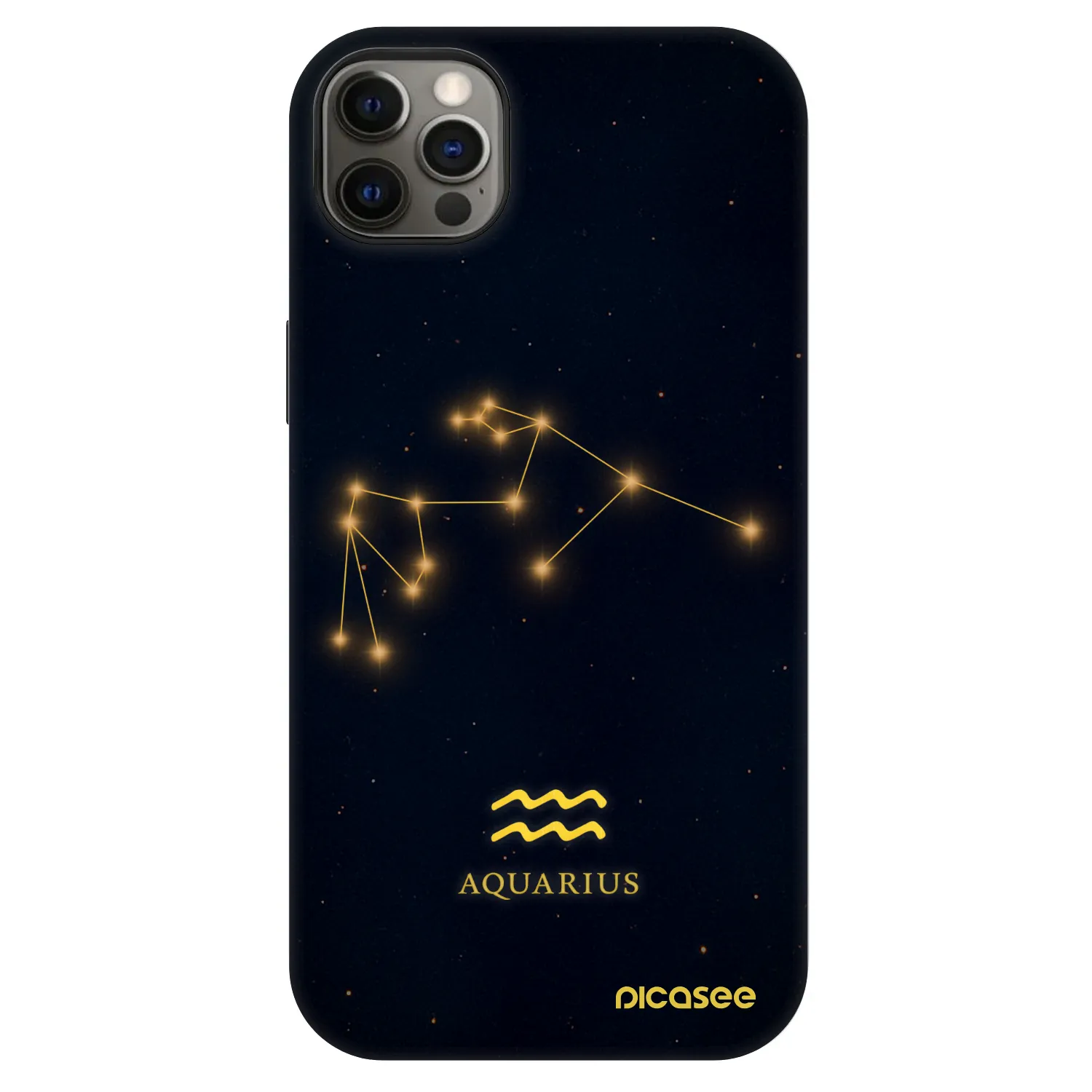 Picasee Fashion Case MagSafe za Apple iPhone 12 Pro Max - AQUARIUS