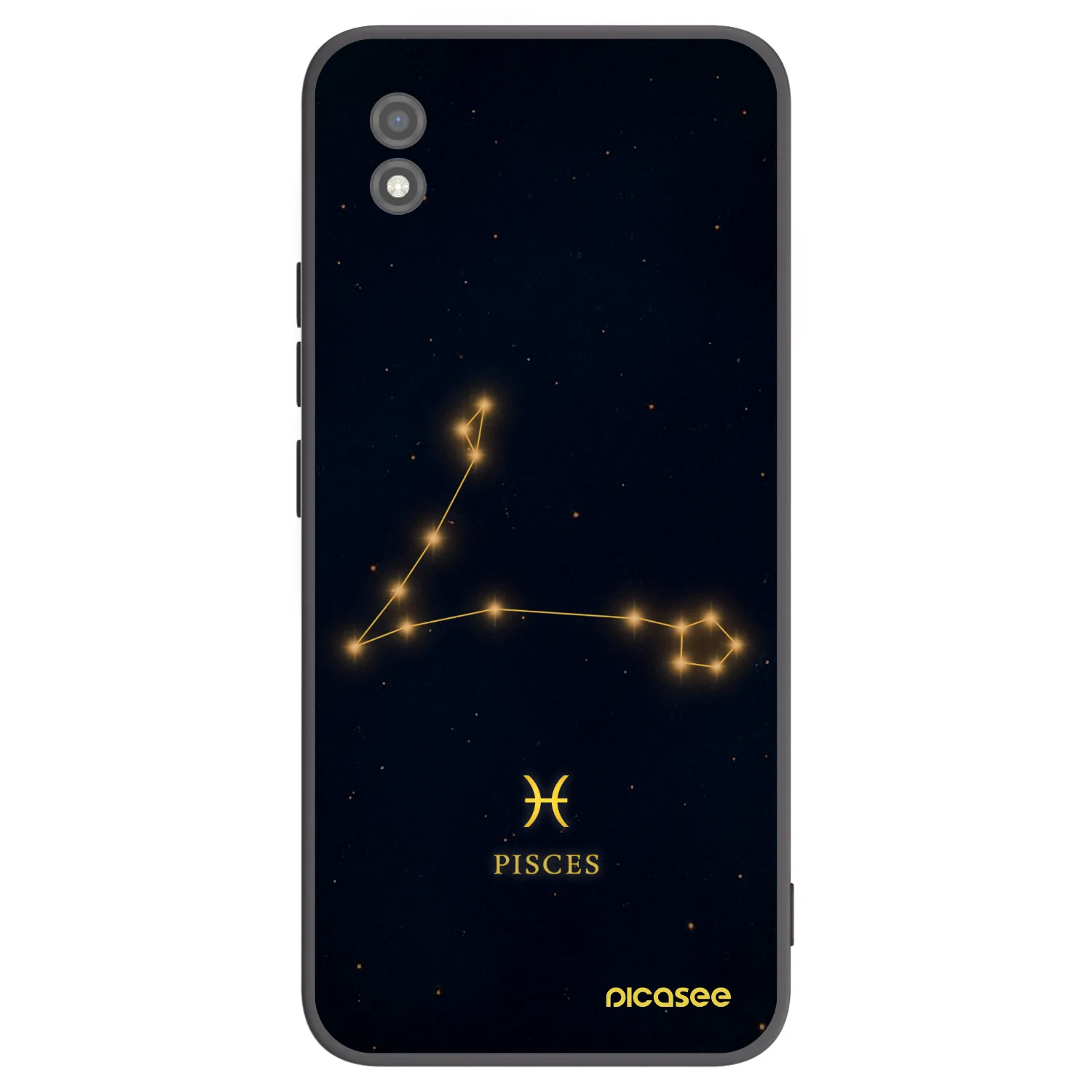 Picasee silikonski črni ovitek za Realme C11 (2021) - PISCES