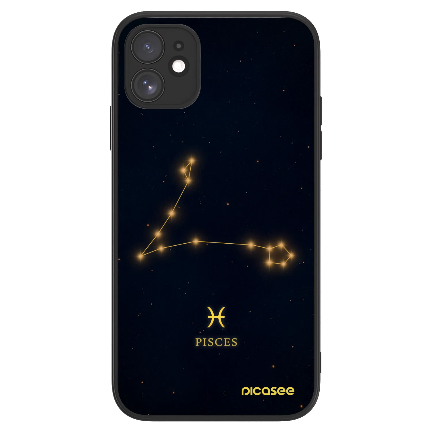 Picasee ULTIMATE CASE MagSafe za Apple iPhone 11 - PISCES