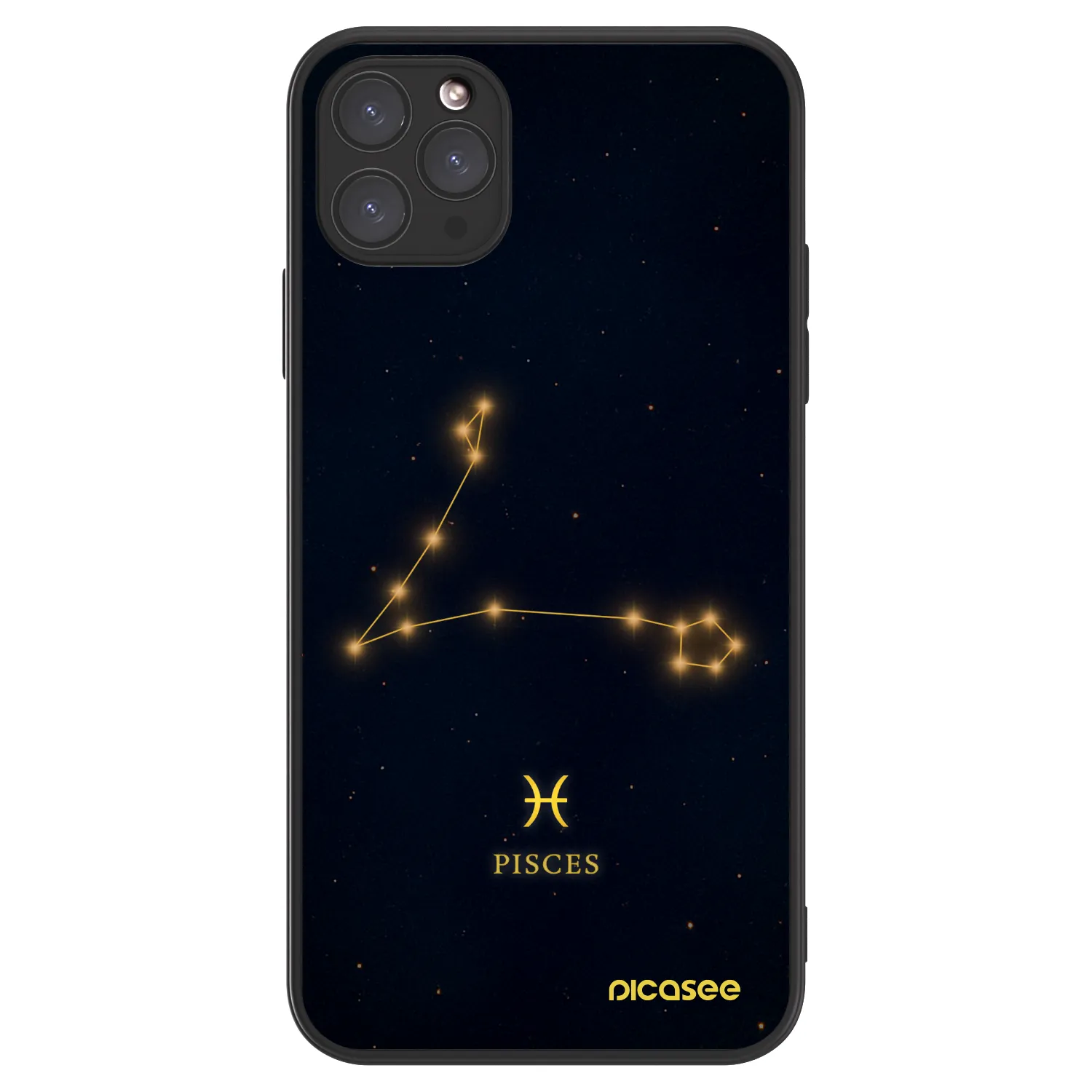 Picasee ULTIMATE CASE MagSafe za Apple iPhone 11 Pro Max - PISCES