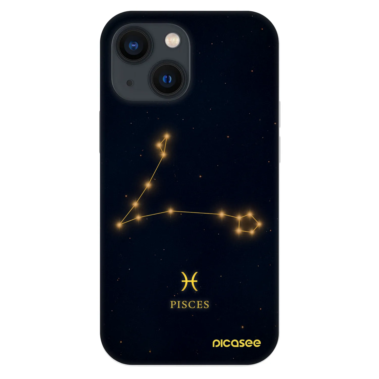 Picasee Fashion Case za Apple iPhone 13 mini - PISCES