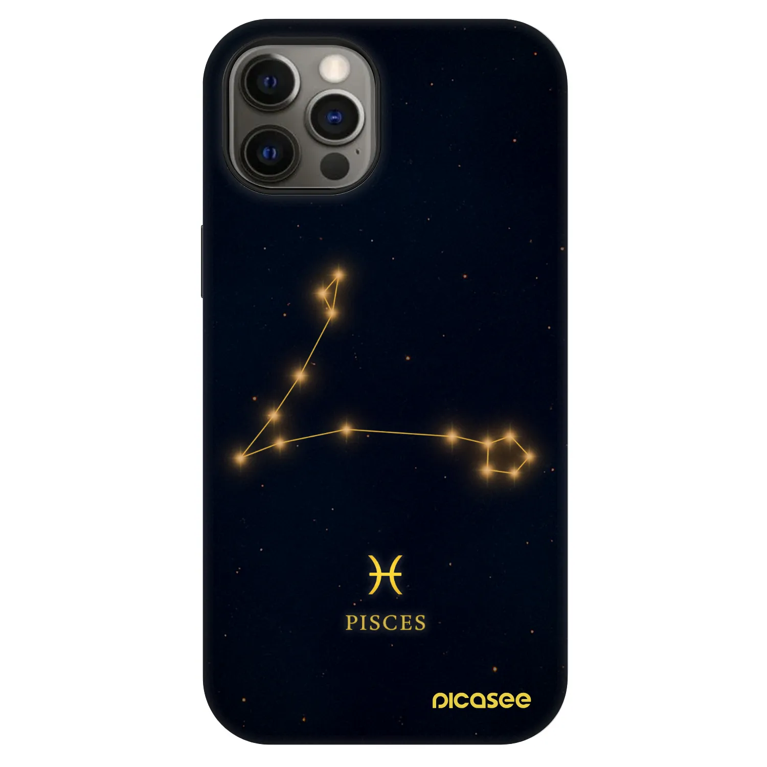 Picasee Fashion Case MagSafe za Apple iPhone 12 - PISCES