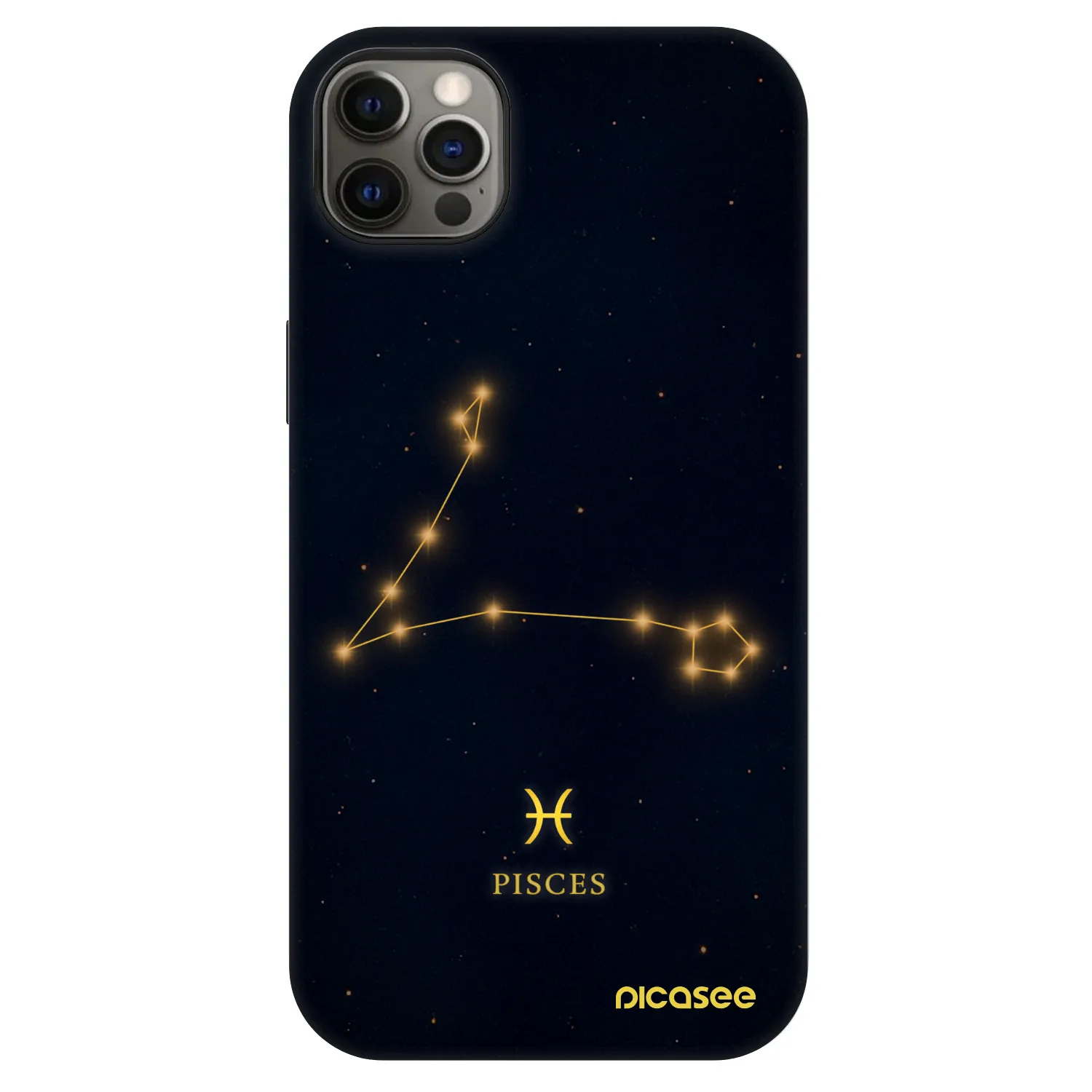 Picasee Fashion Case MagSafe za Apple iPhone 12 Pro Max - PISCES