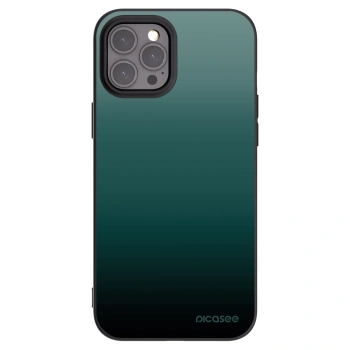 Picasee silikonski črni ovitek za Apple iPhone 12 Pro Max - Verdant Fade
