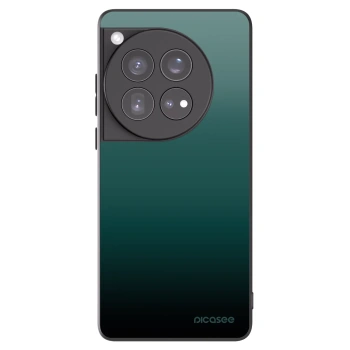 Picasee silikonski črni ovitek za OnePlus 12 5G - Verdant Fade