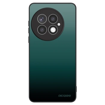 Ovitek za OnePlus 13 5G - Verdant Fade