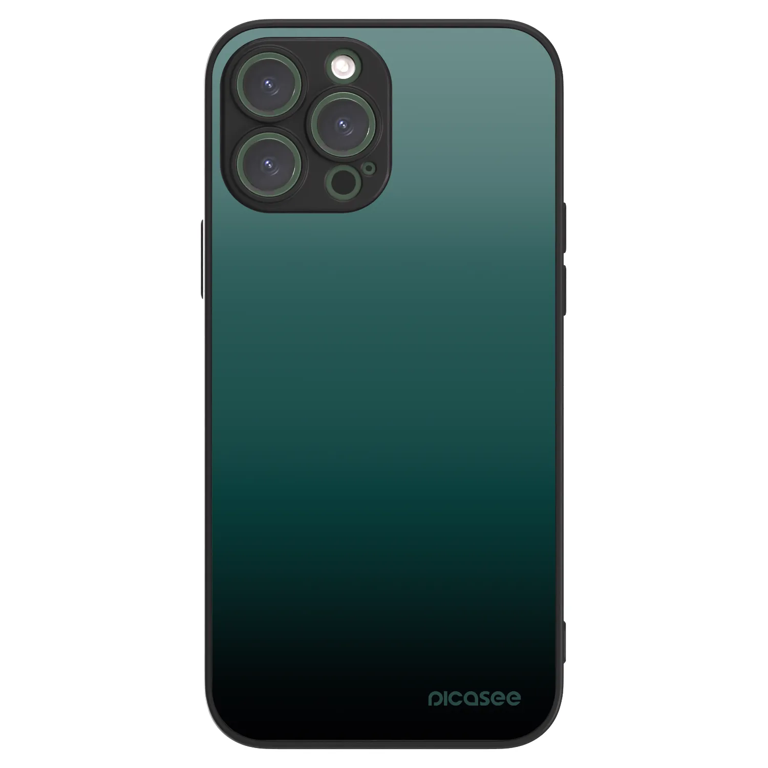 Picasee ULTIMATE CASE MagSafe za Apple iPhone 13 Pro Max - Verdant Fade