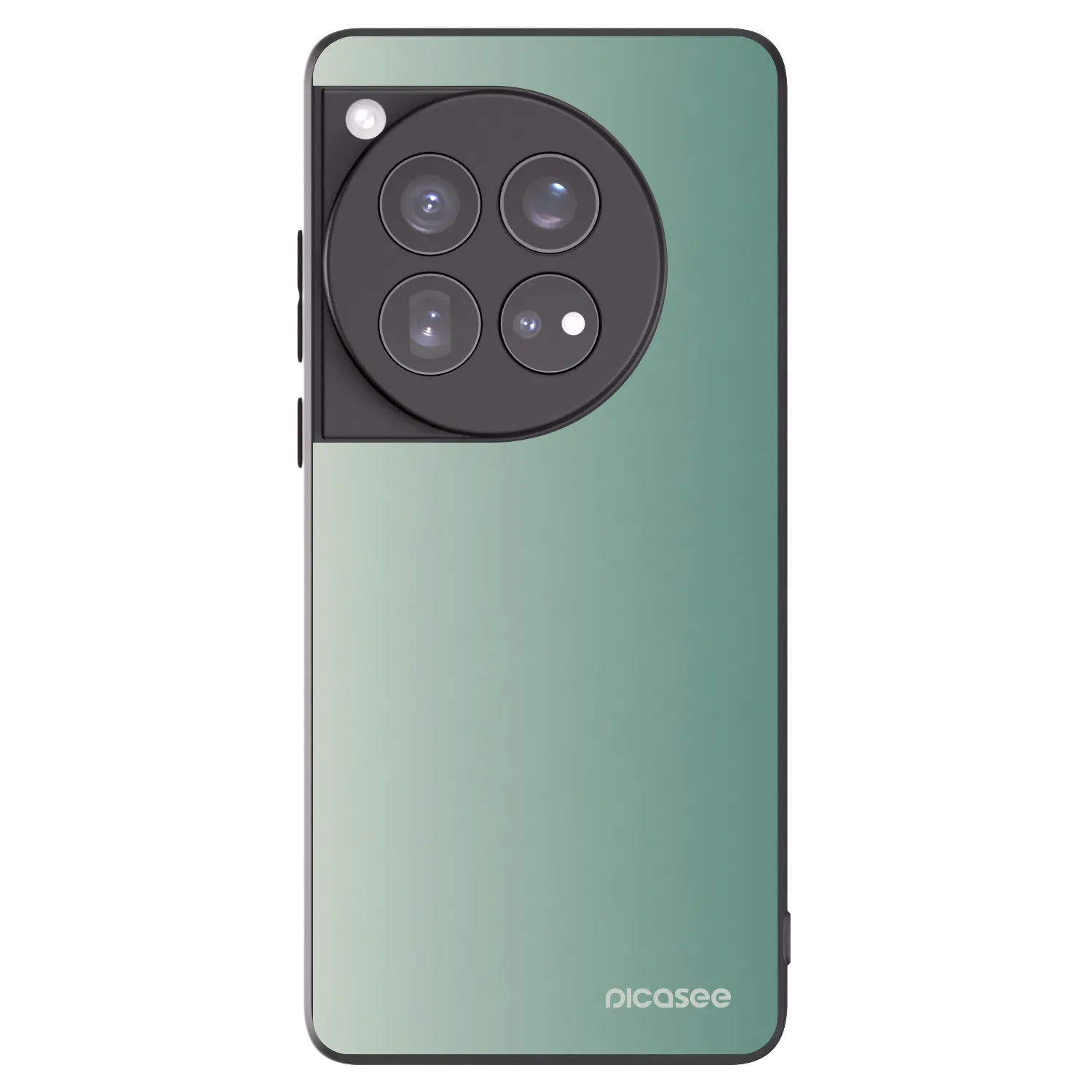 Picasee silikonski črni ovitek za OnePlus 12 5G - Misty Sage