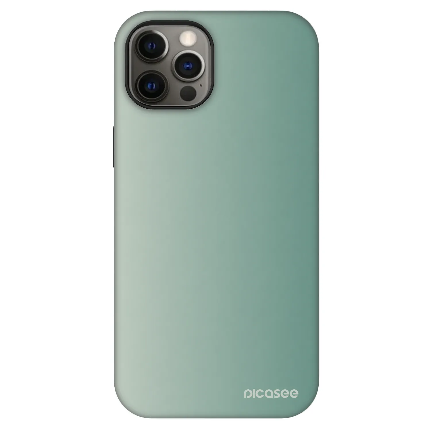 Picasee Fashion Case MagSafe za Apple iPhone 12 - Misty Sage